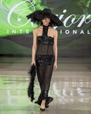 DCFW-Feb-2026-Sunday0654